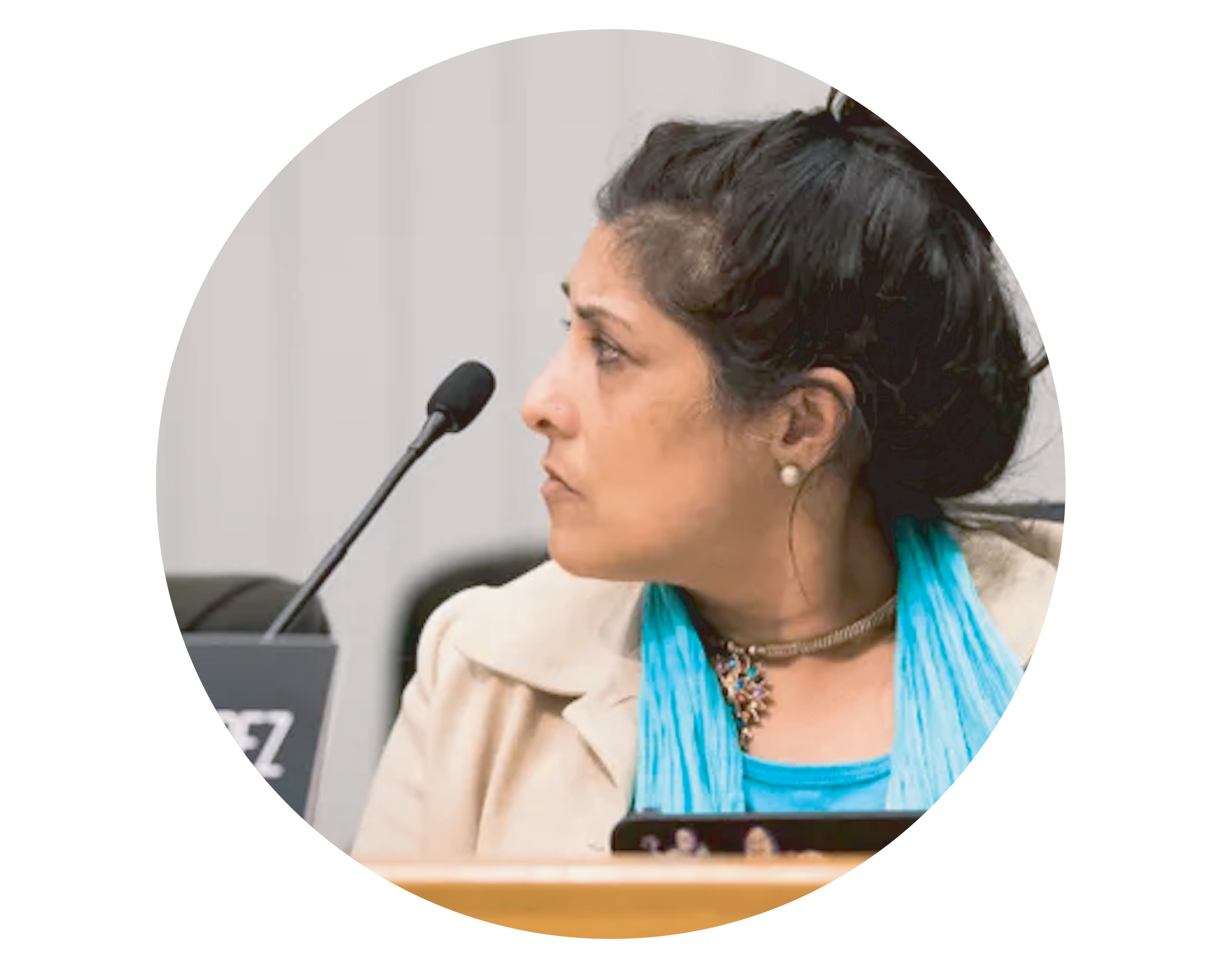 Seema Violence Intervention.png